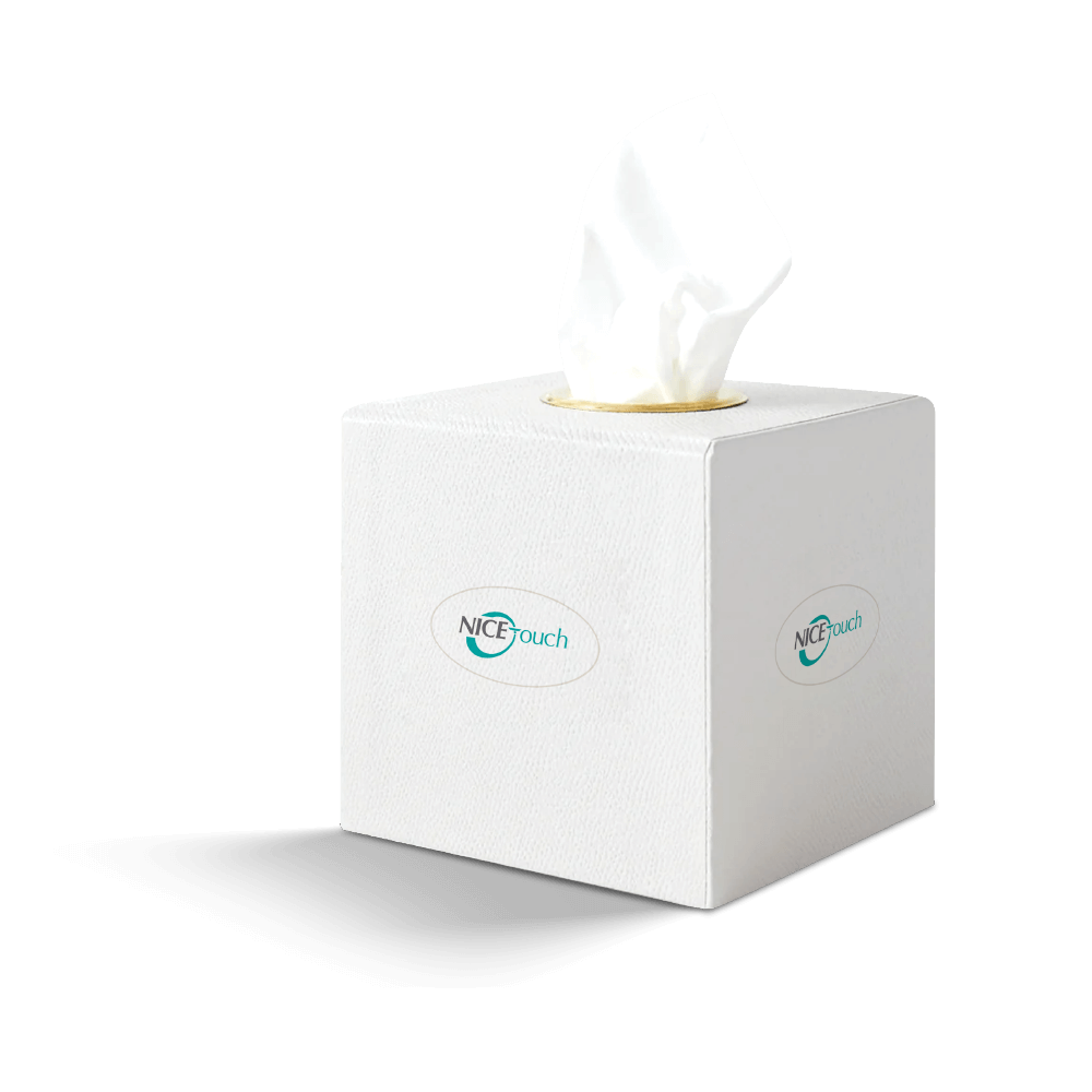 Nice Touch Facial Tissue Cube White